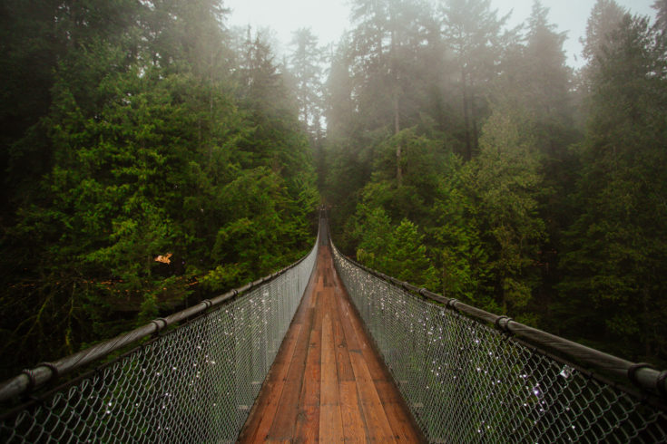 Capilano Suspension Bridge Christmas: Best Time To Visit, What To ...