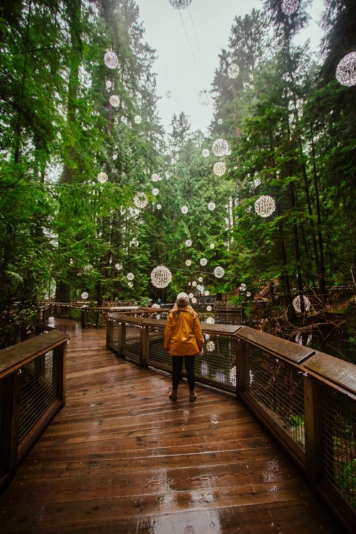 Capilano Suspension Bridge Christmas Best Time To Visit, What To Expect + More Tips!