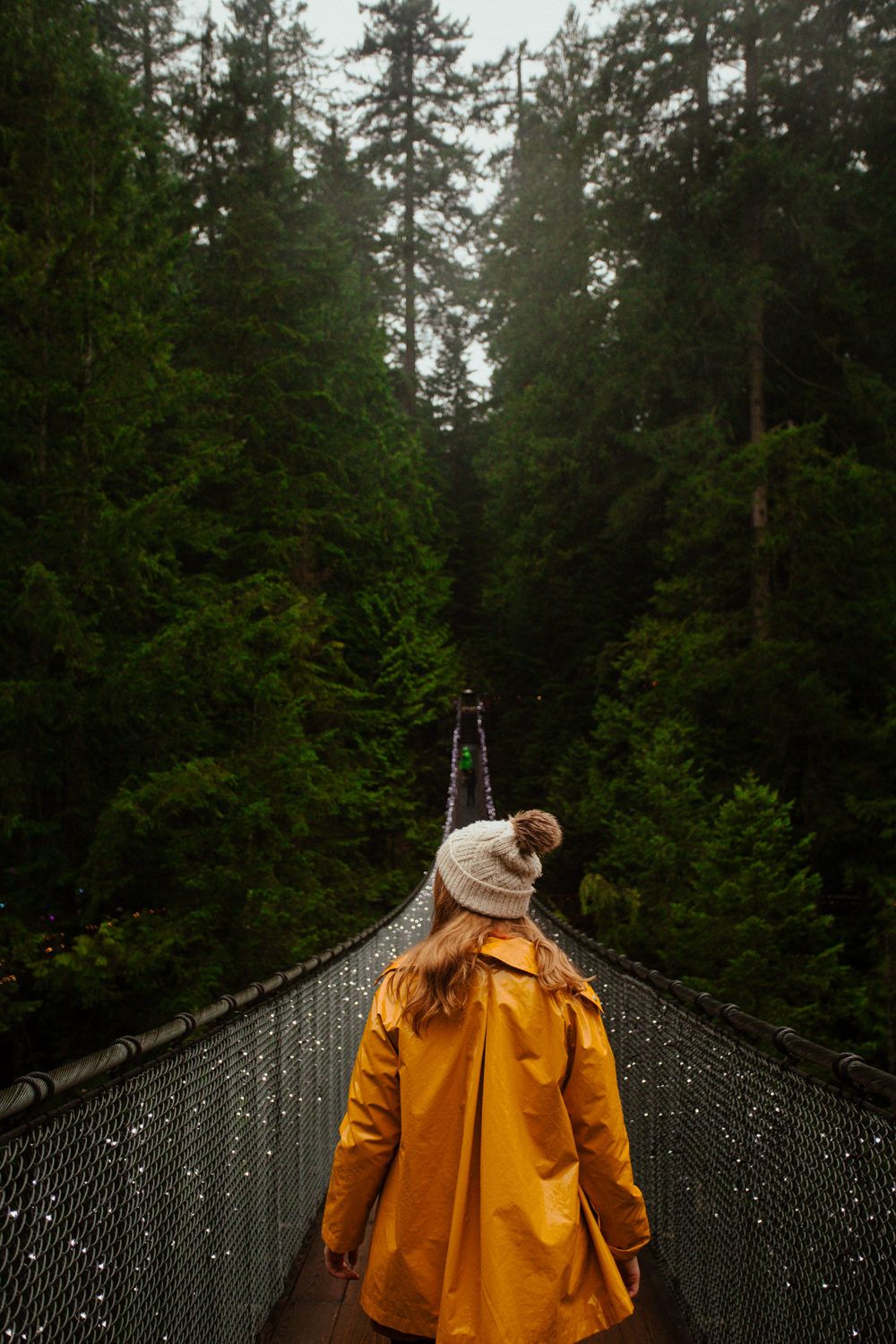 Capilano Suspension Bridge Christmas: Best Time To Visit, What To ...