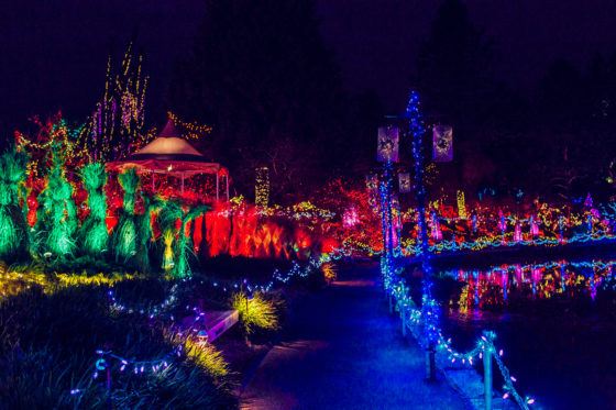 5 Reasons Christmas Is The Best Time To Visit Vancouver