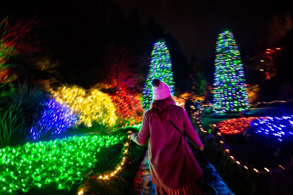 Christmas Light Up at Butchart Gardens