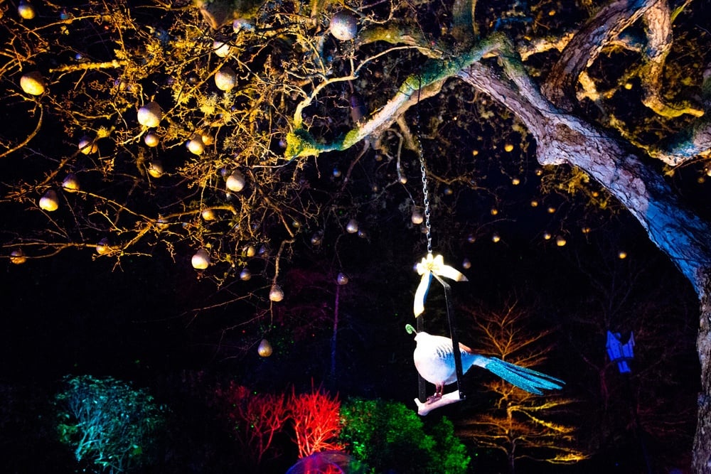 5 Butchart Gardens Christmas Things To Know BEFORE You Go (2023)