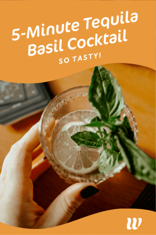 5Minute Tequila Basil Cocktail Recipe (SO TASTY!)