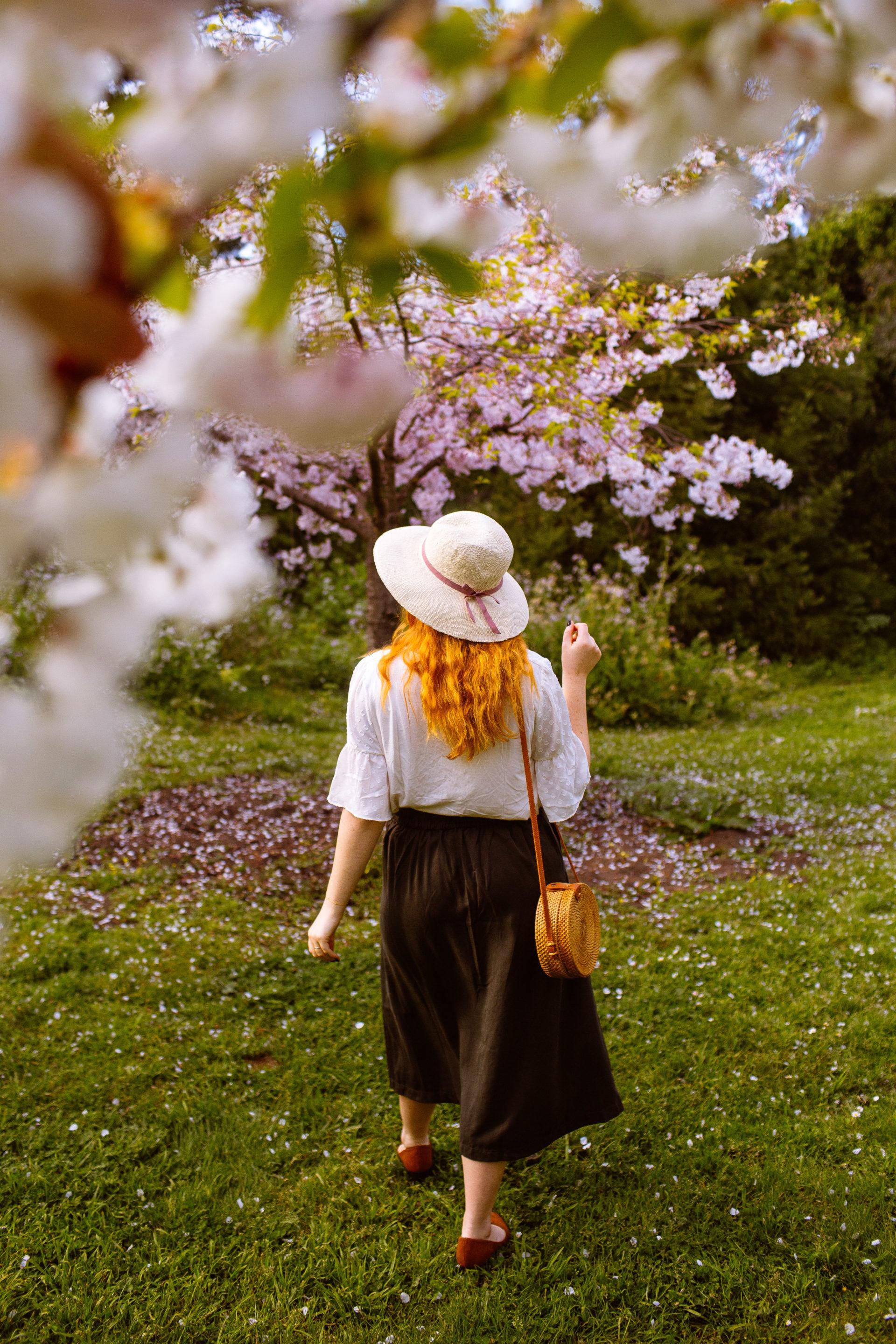 Springtime In LOFT At Golden Gate Park - Whimsy Soul