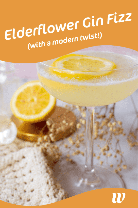 Elderflower Gin Fizz Cocktail (With A Modern Twist!)