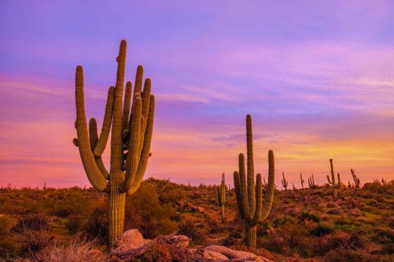 Summer Road Trip To Scottsdale: 3 Days in Scottsdale Itinerary