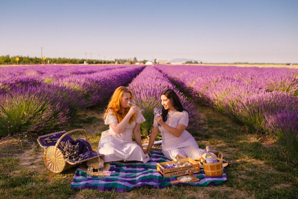 California's Dreamy Lavender Fields The Ultimate Guide to Summer Blooms
