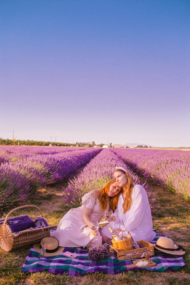 This California Flower Field Will Be the Most Instagrammable