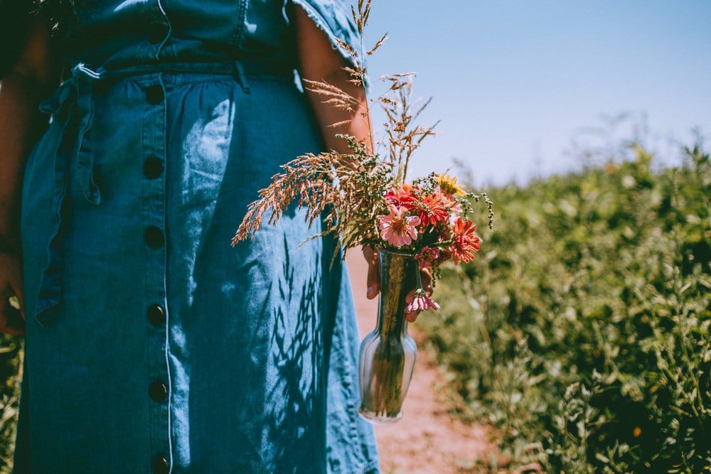 Mezger Family Zinnia Patch A PayItForward Flower Field Near Woodland
