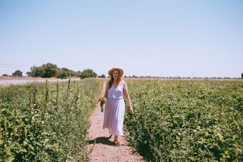Mezger Family Zinnia Patch A PayItForward Flower Field Near Woodland