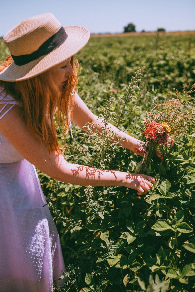 Mezger Family Zinnia Patch A PayItForward Flower Field Near Woodland