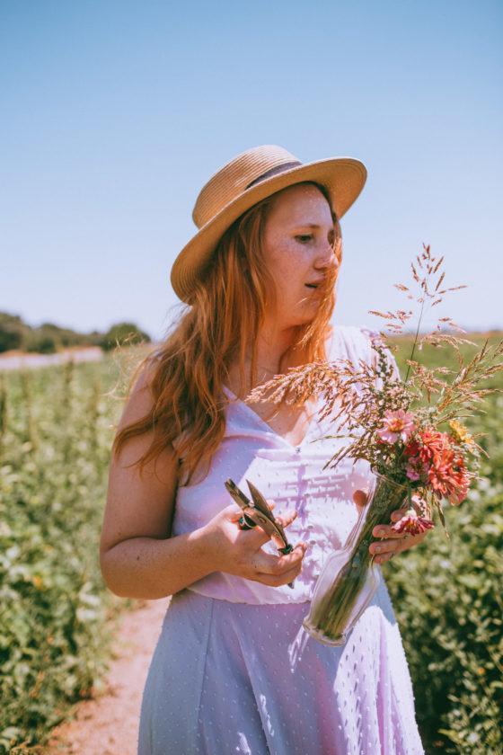Mezger Family Zinnia Patch A PayItForward Flower Field Near Woodland