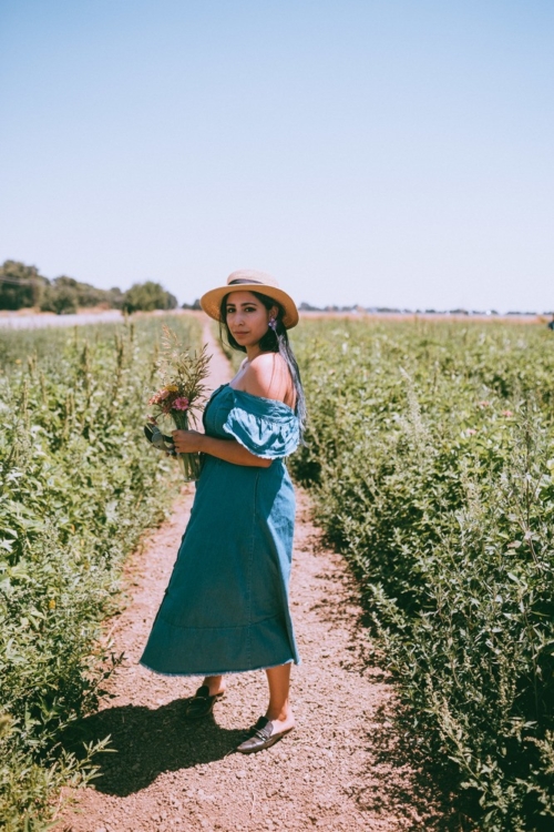 Mezger Family Zinnia Patch A PayItForward Flower Field Near Woodland