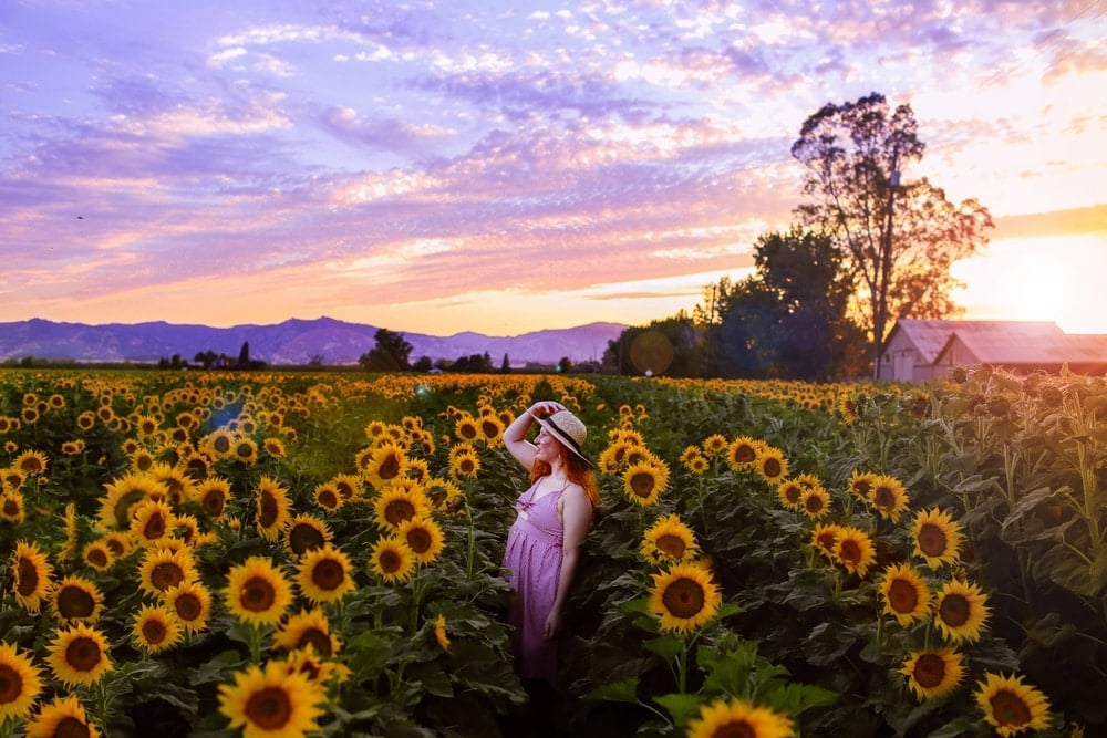 The perfect summer sunflower jeans, RE.STATEMENT