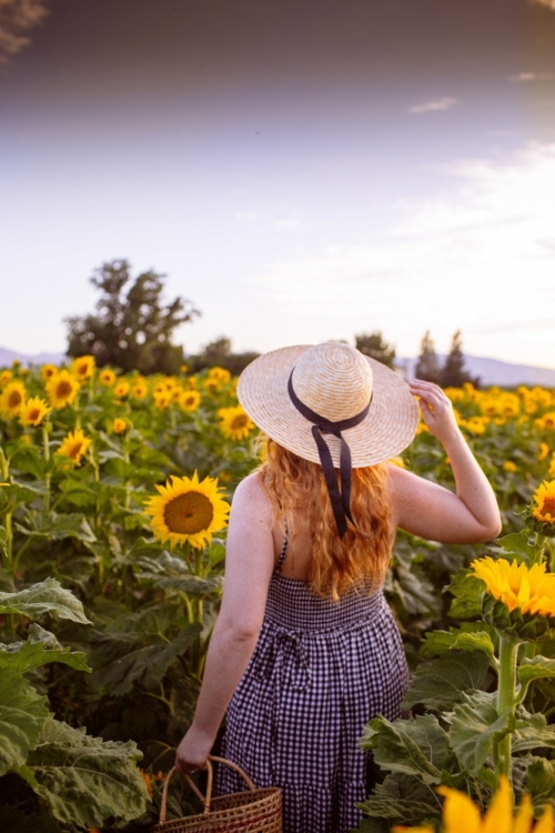 Best Sunflower Fields In California (Addresses + Photos!)