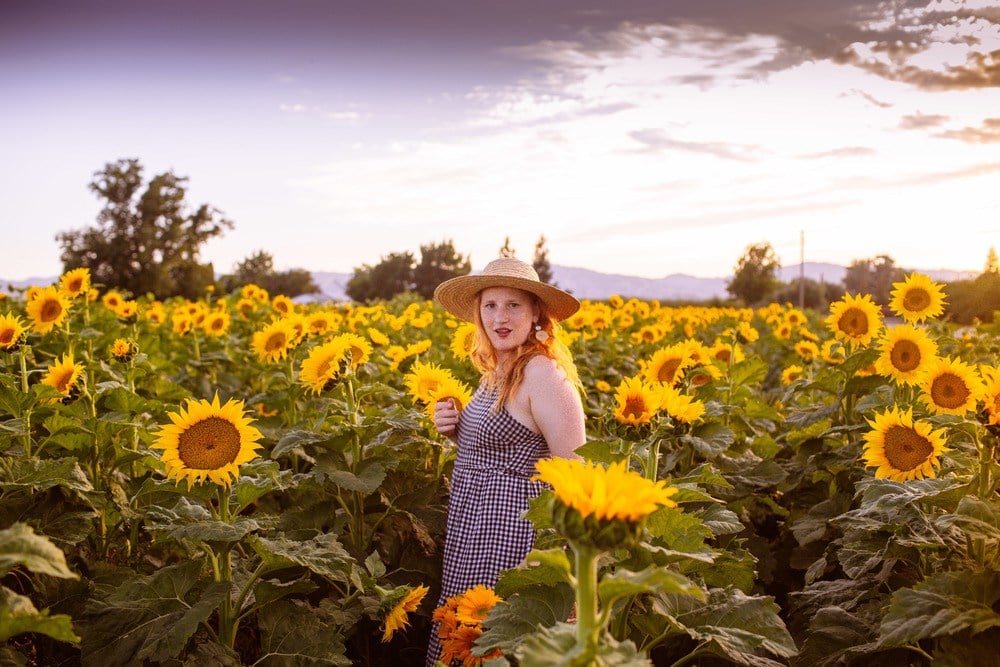 11 Best Sunflower Fields In California Addresses Photos 4071