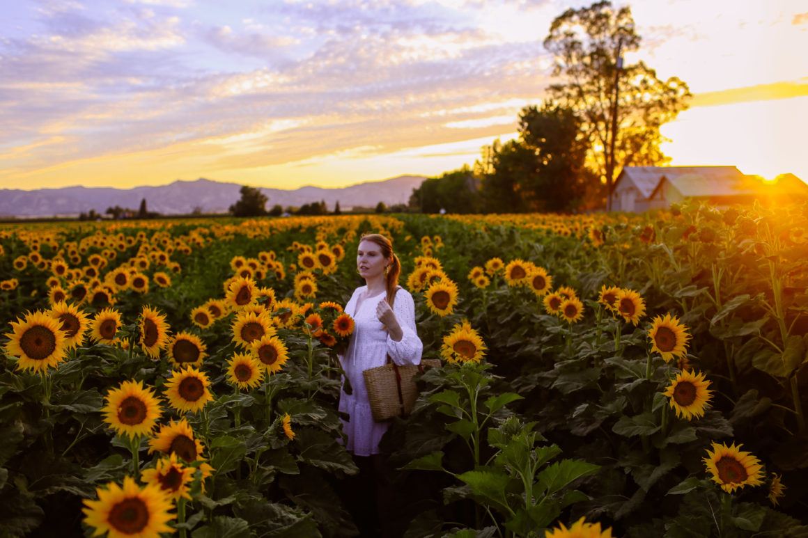 11 Best Sunflower Fields In California (Addresses + Photos!)