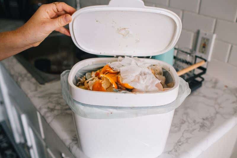 How To Compost In An Apartment (Beginner's Guide To Urban Composting)