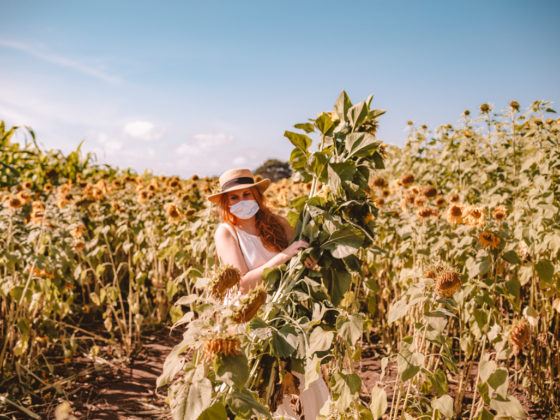 Kara holding a bundle of sunflowers at Andreotti sunflower farm in Half Moon Bay, California