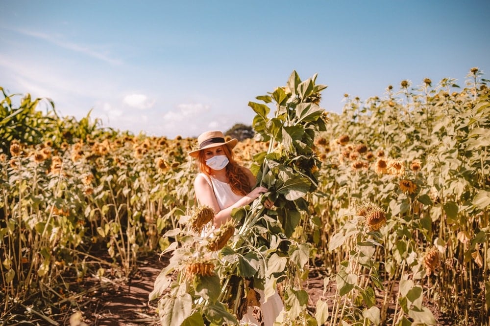 Kara holding a bundle of sunflowers at Andreotti sunflower farm in Half Moon Bay, California