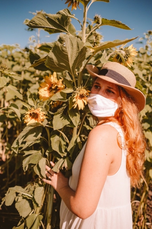 Where To Find Sunflower Fields In Half Moon Bay UPick Sunflowers In