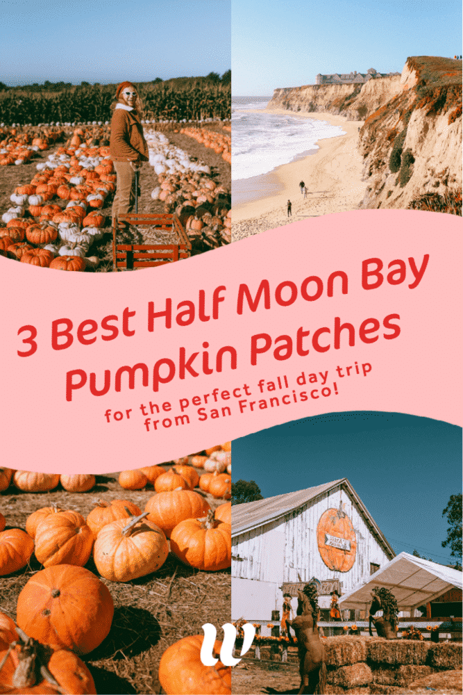 3 Half Moon Bay Pumpkin Patches I Love & Visit Every Fall