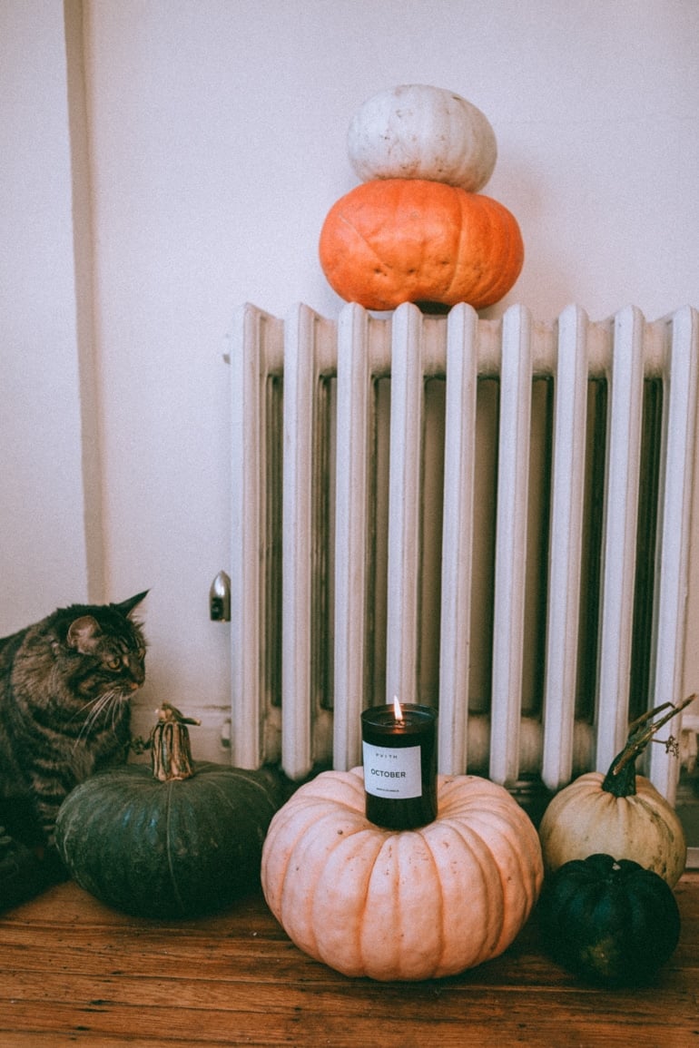 Twyla the cat checking out the October Scented candle