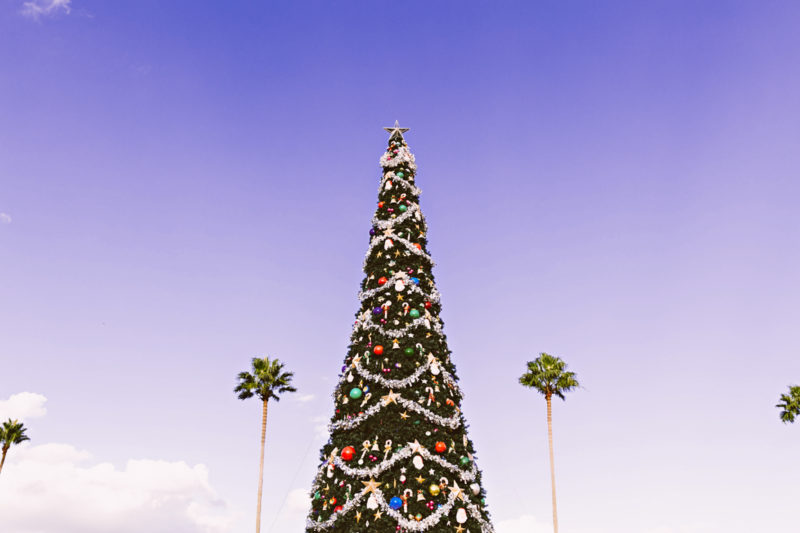 10 Places To Spend Christmas in California For A Magical Holiday Getaway