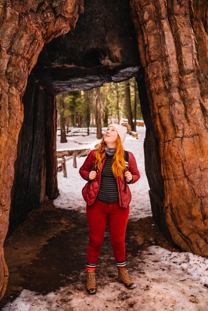 Kara walking through a Giant Sequoia in Yosemite National Park
