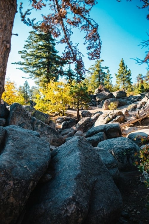 Your Ultimate Weekend in Big Bear Top Things To Do in Big Bear Lake