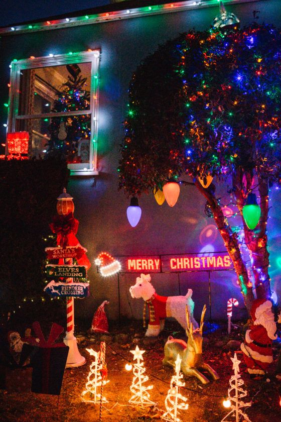 Christmas Lights in San Francisco 15 Festive Spots I Love During The