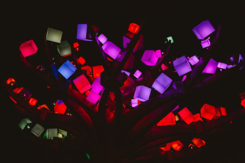 OMG You Have To Visit Entwined At Golden Gate Park!