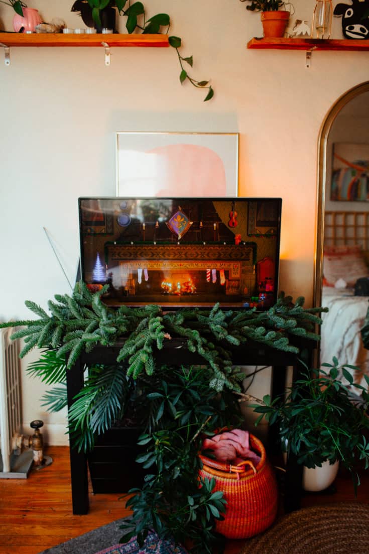 Our Yearly Tradition Clancy's Christmas Tree Farm in San Francisco