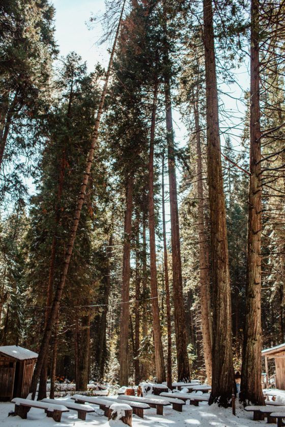 14 Fantastic Things To Do In Oakhurst, California (Yosemite's Gateway!)