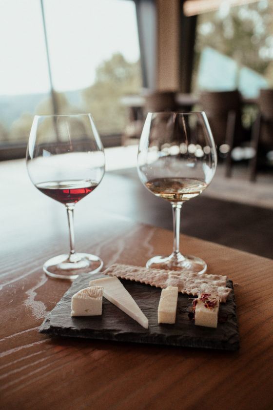 Napa vs Sonoma Which Is Better According To A Local?