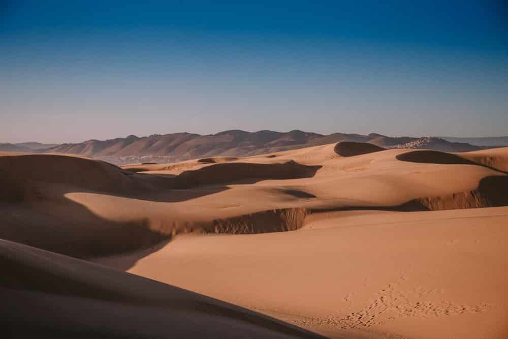 Protect the Oceano Sand Dunes California State Park, Nature and Wildlife