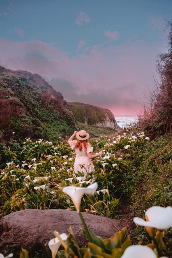 How To Find Calla Lily Valley in Big Sur (Best Wild California Lilies!)