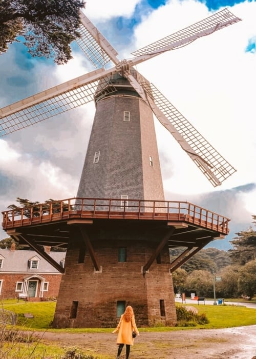 When To View Tulips At The Dutch Windmills in Golden Gate Park (+ History!)