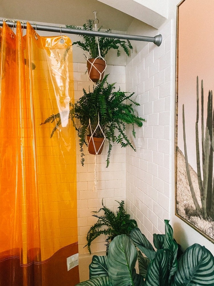 See How I Styled My Shower Plants 7, Why Is My Shower Curtain Turning Orange