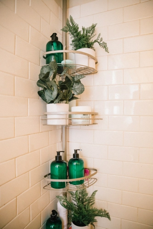 See How I Styled My Shower Plants (+ 7 Best Plants For Your Bathroom!)
