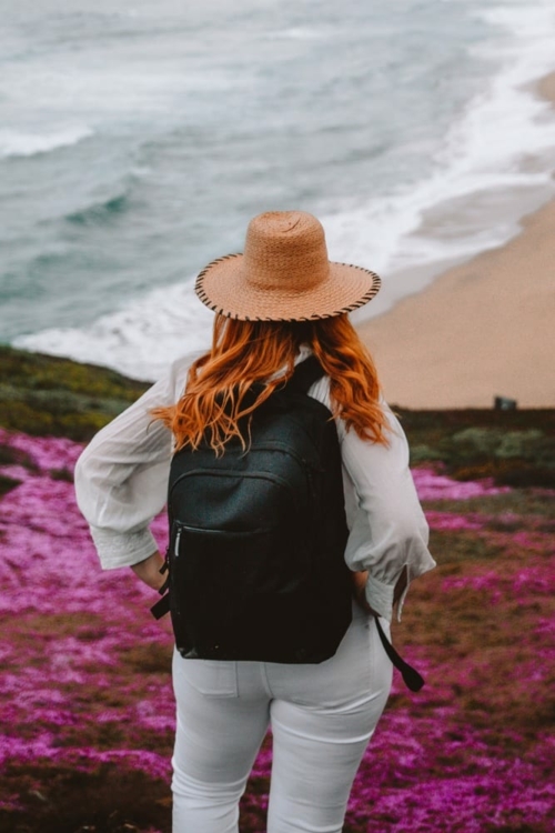 BEST Eco Friendly Backpack Made From Recycled Plastic Bottles