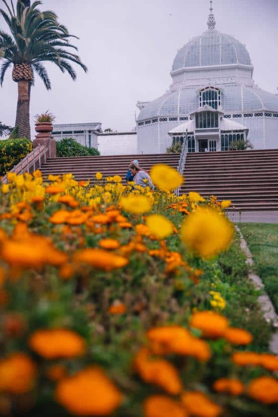 How To Save Money At Conservatory of Flowers San Francisco