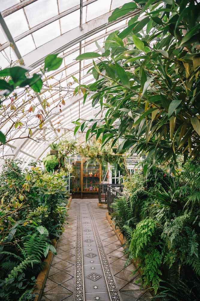 How To Save Money At Conservatory of Flowers San Francisco
