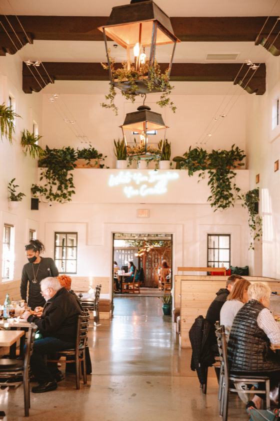 11 Amazing Paso Robles Wineries You Can't Miss For The Perfect Wine