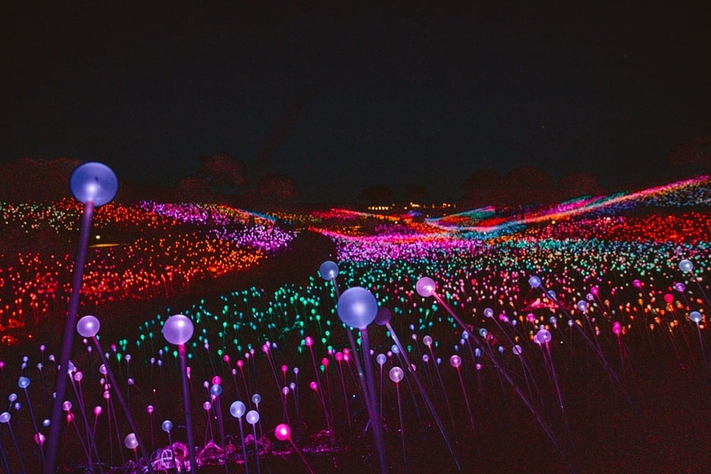 Sensorio Field of Light Art Exhibit in Paso Robles - California Through My  Lens