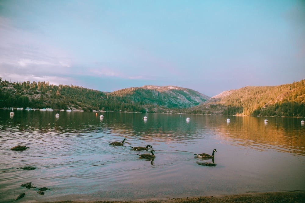 Pinecrest Lake Camping Best Sites + Fun Things To Do At This Epic California Lake