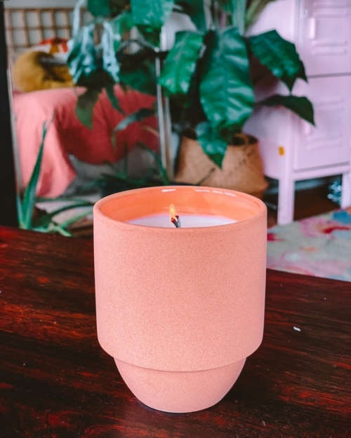 Desert Haze & Cacti Flower An August Candle Inspired By Arizona