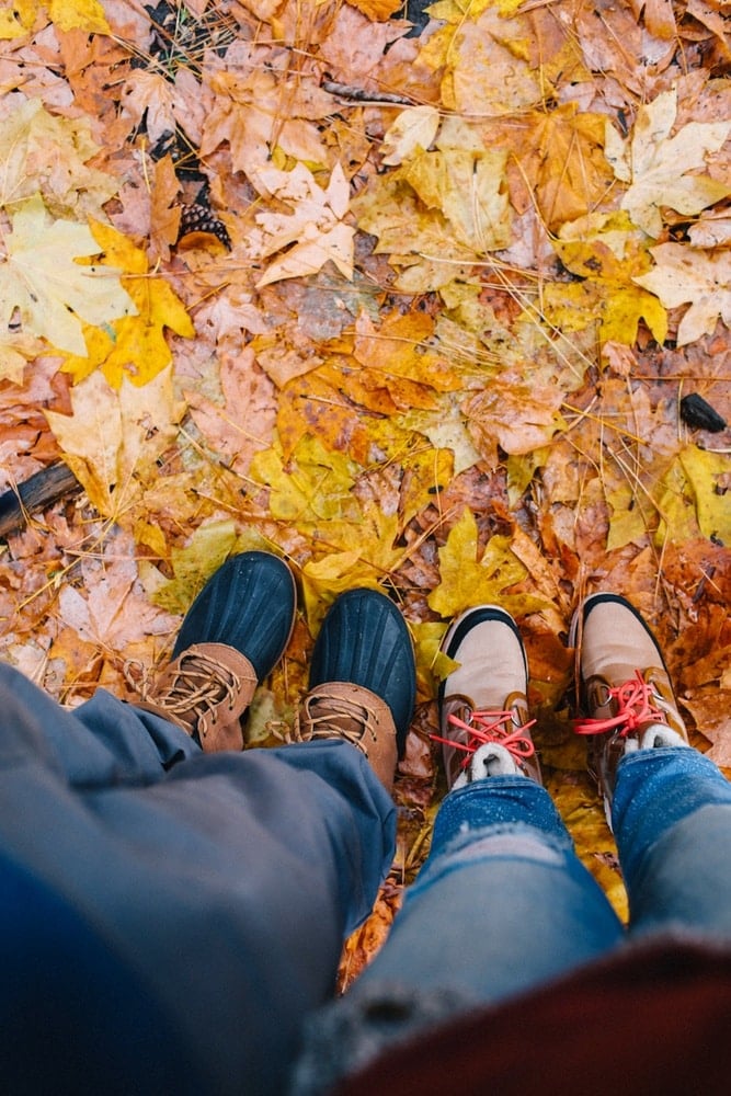 California Fall Colors: 15 Stunning Places To Visit This Autumn For Foliage