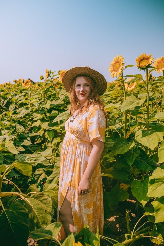 12 Stunning Wisconsin Sunflower Fields (Farms, U-pick & More!)