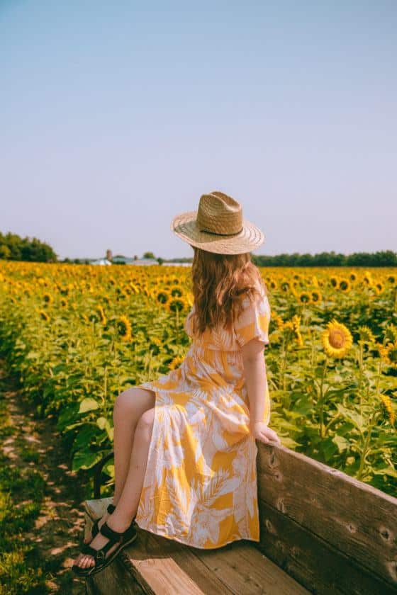 12 Stunning Wisconsin Sunflower Fields (Farms, Upick & More!)